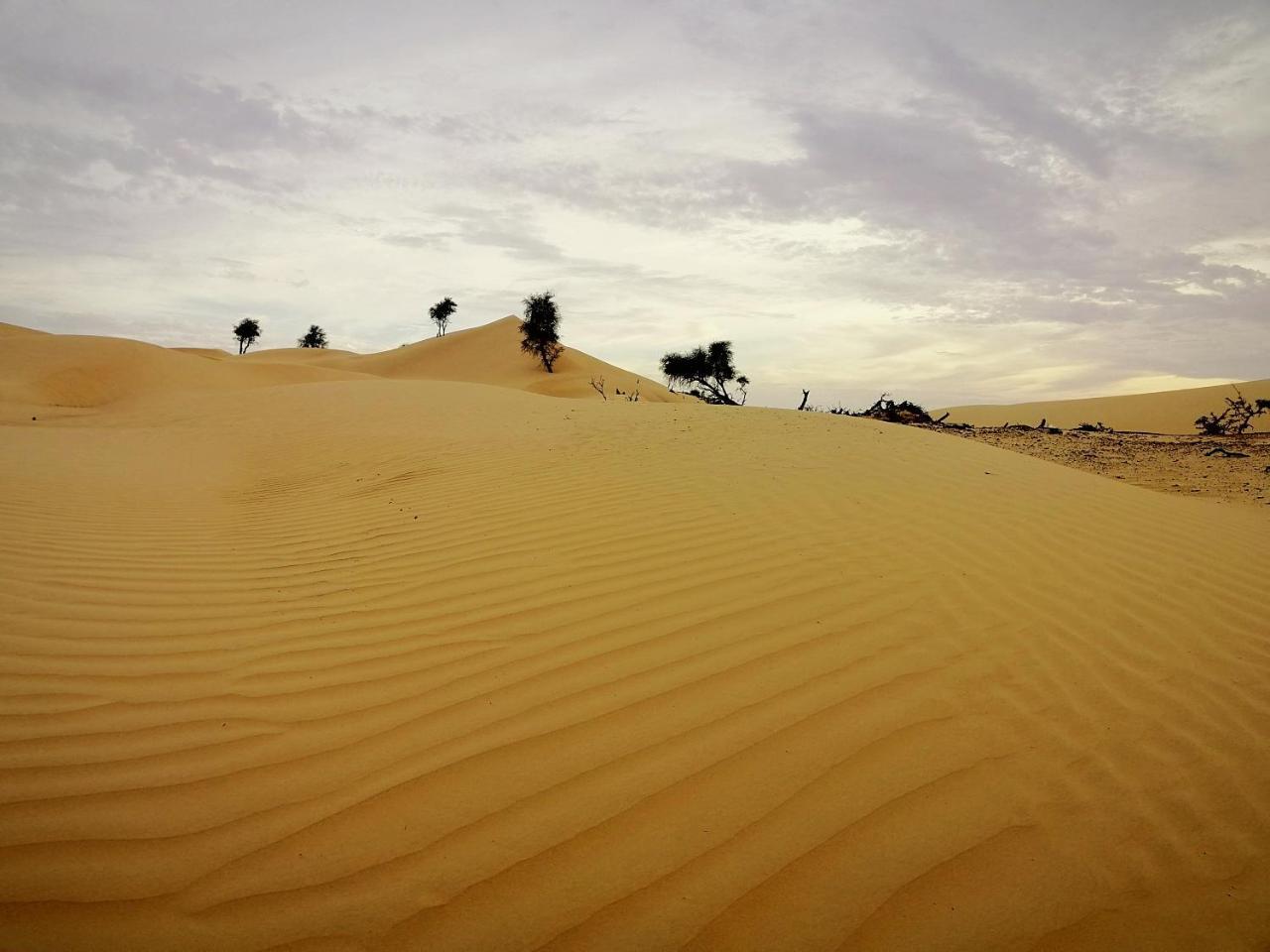 Queen Desert Camp Fulayj al Masha'ikh Екстер'єр фото